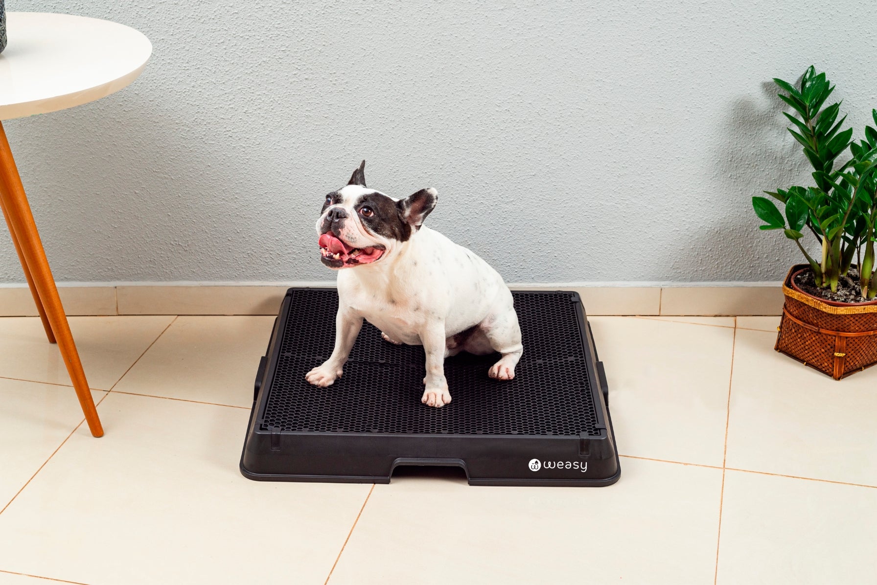 image of a dog sitting on the Weasy Smart Potty size medium