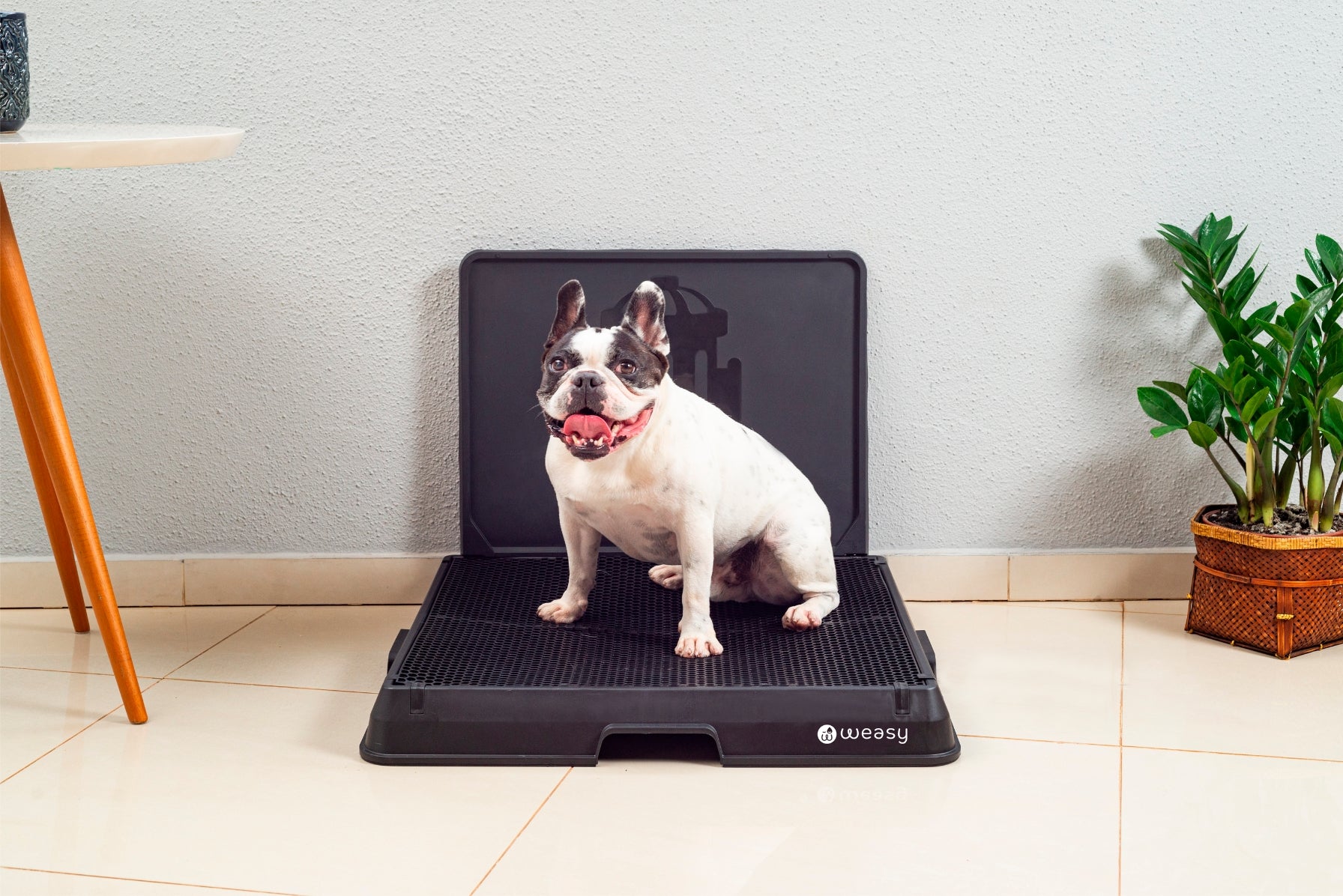 image of a dog sitting on the Weasy Smart Potty size medium