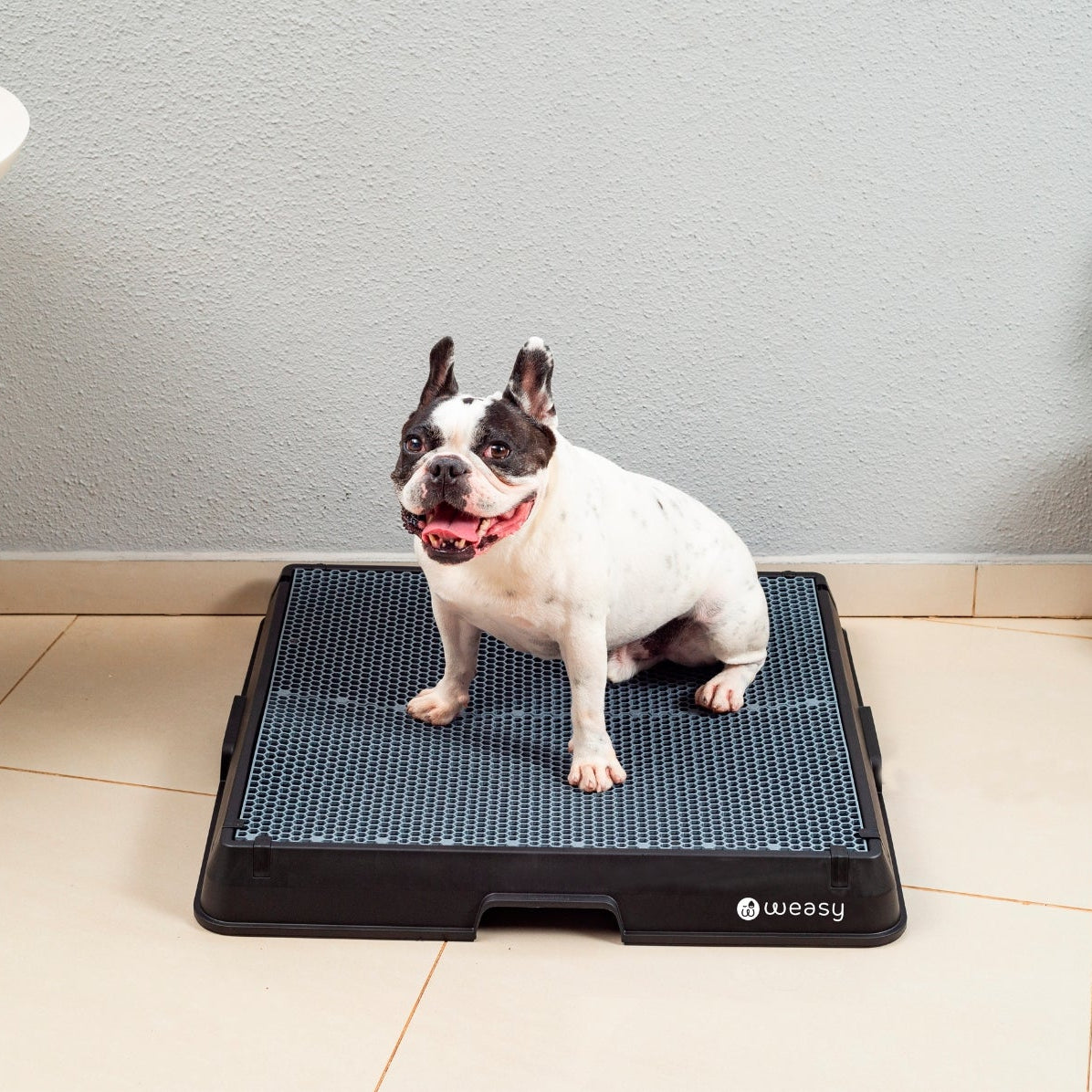 image of a dog sitting on the Weasy Smart Potty size medium
