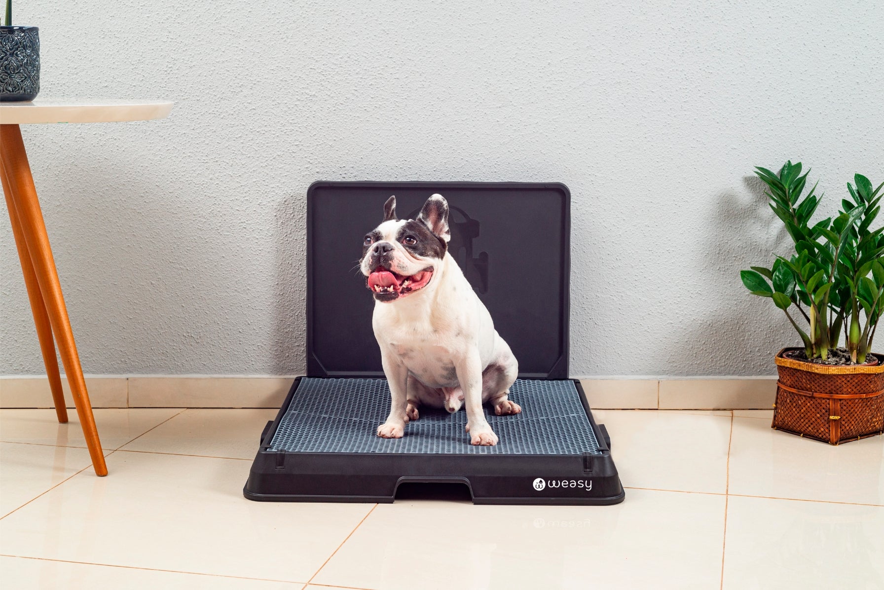 image of a dog sitting on the Weasy Smart Potty size medium