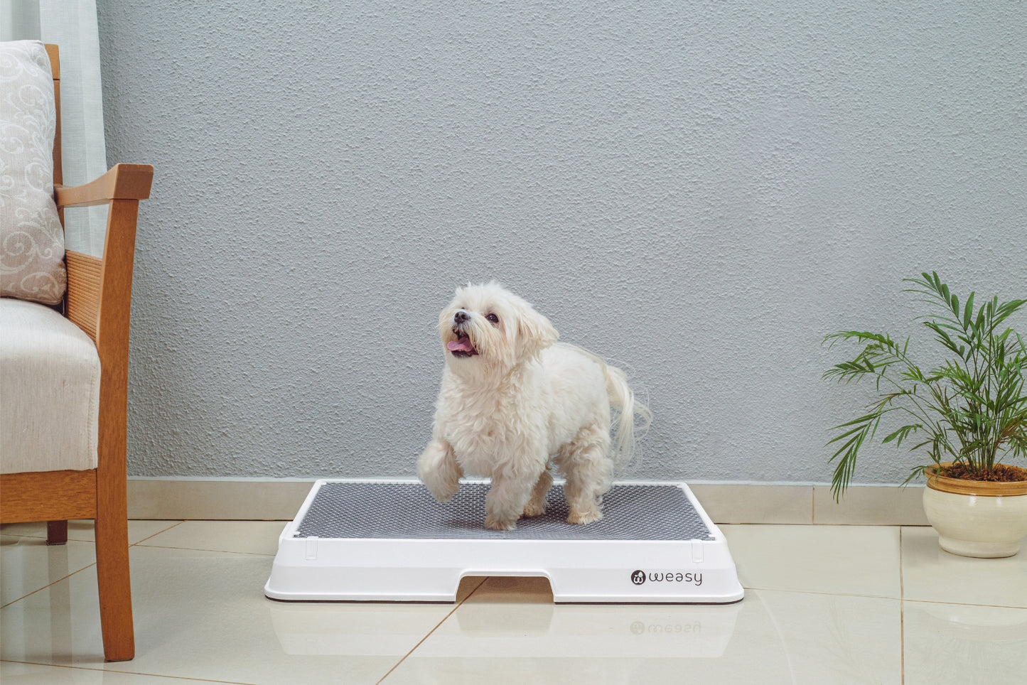 image of a dog sitting on a white Weasy Smart Potty size small with a mat, placed on a tiled floor.