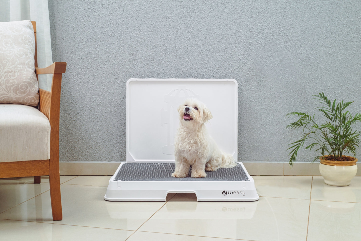 image of a Small dog sitting on the Weasy Smart Potty size Small