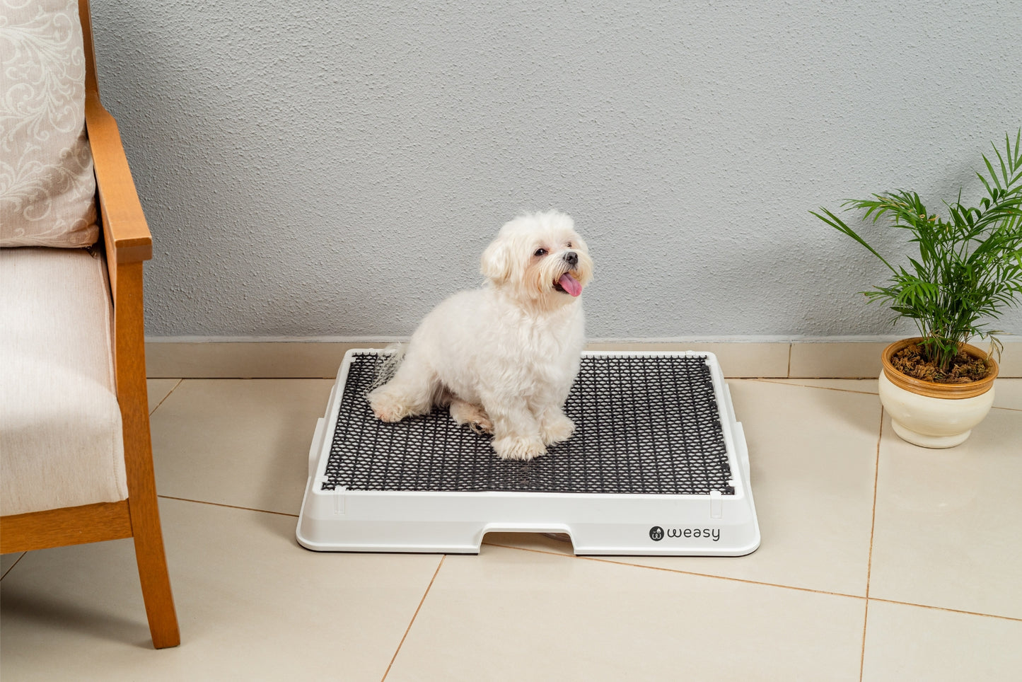 image of a dog sitting on a white Weasy Smart Potty size small with a mat, placed on a tiled floor.