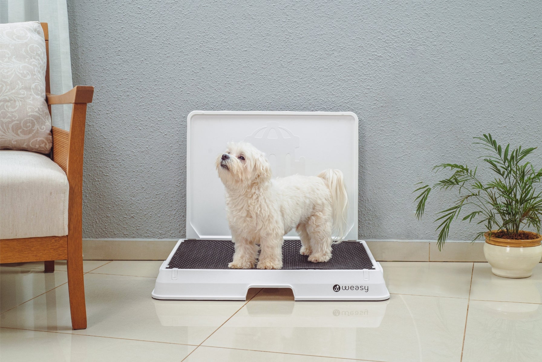 image of a Small dog sitting on the Weasy Smart Potty size Small