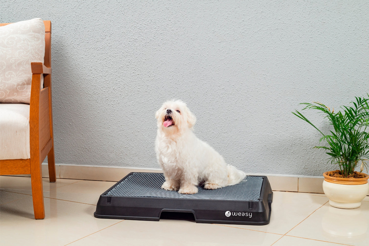 image of a dog sitting on a black Weasy Smart Potty size small with a mat, placed on a tiled floor.