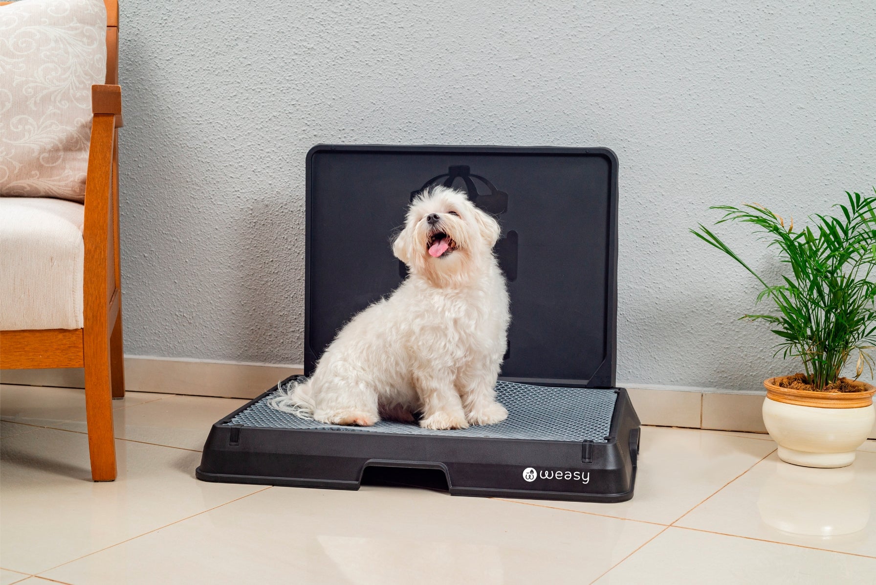 image of a Small dog sitting on the Weasy Smart Potty size Small