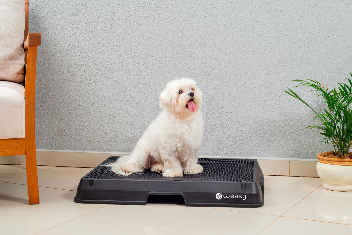 image of a dog sitting on a black Weasy Smart Potty size small with a mat, placed on a tiled floor.