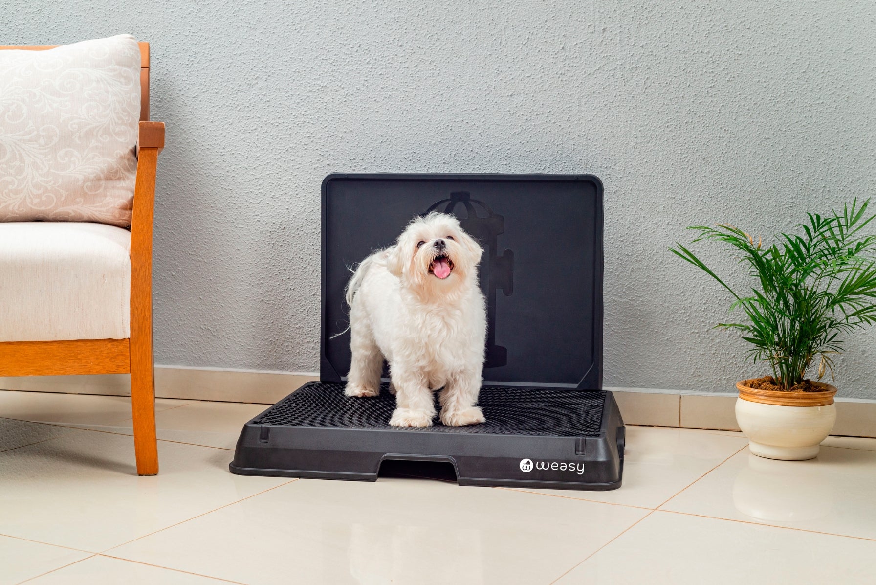 image of a Small dog sitting on the Weasy Smart Potty size Small
