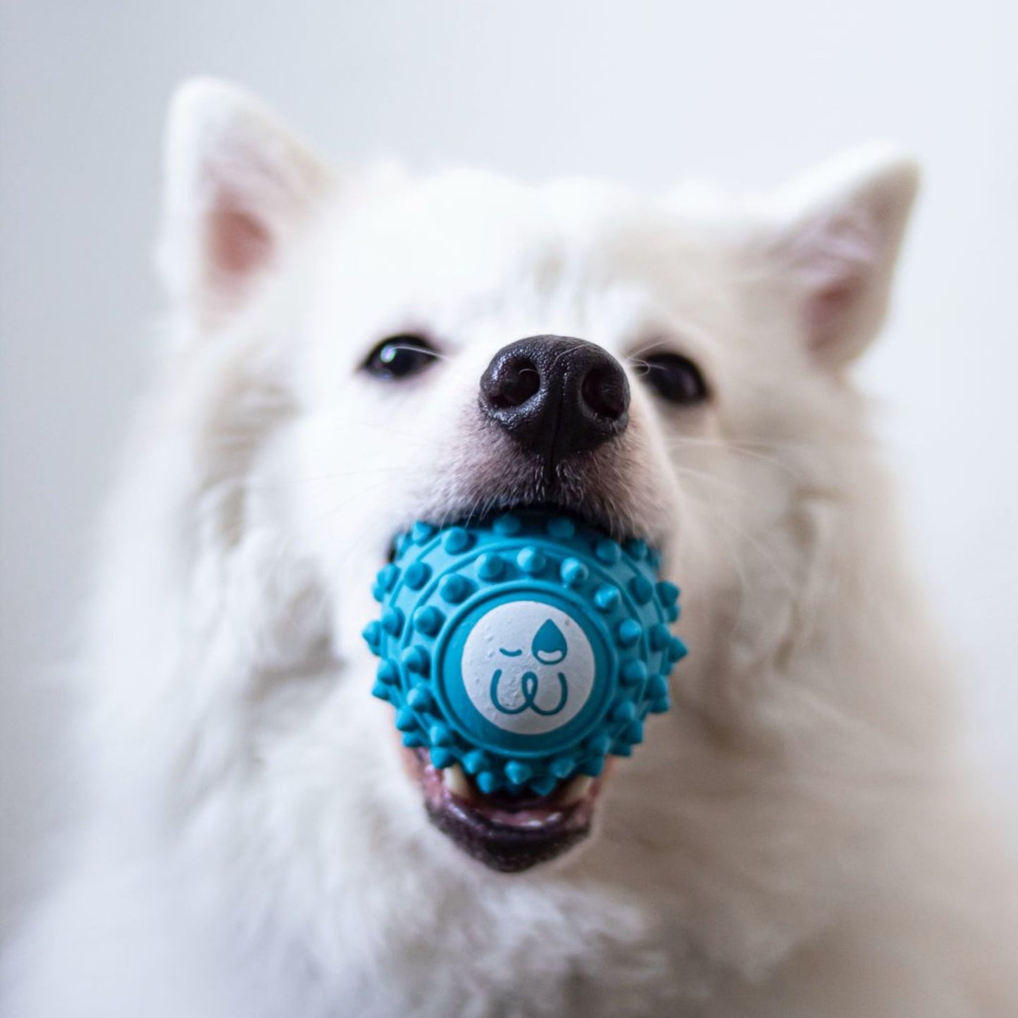 Rubber Ball