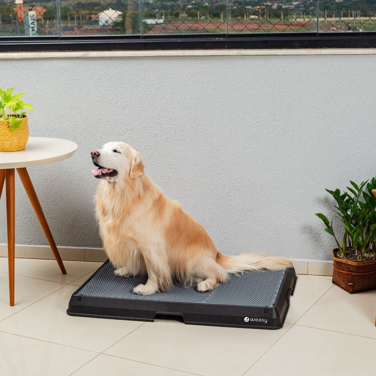 Weasy Smart Dog Potty