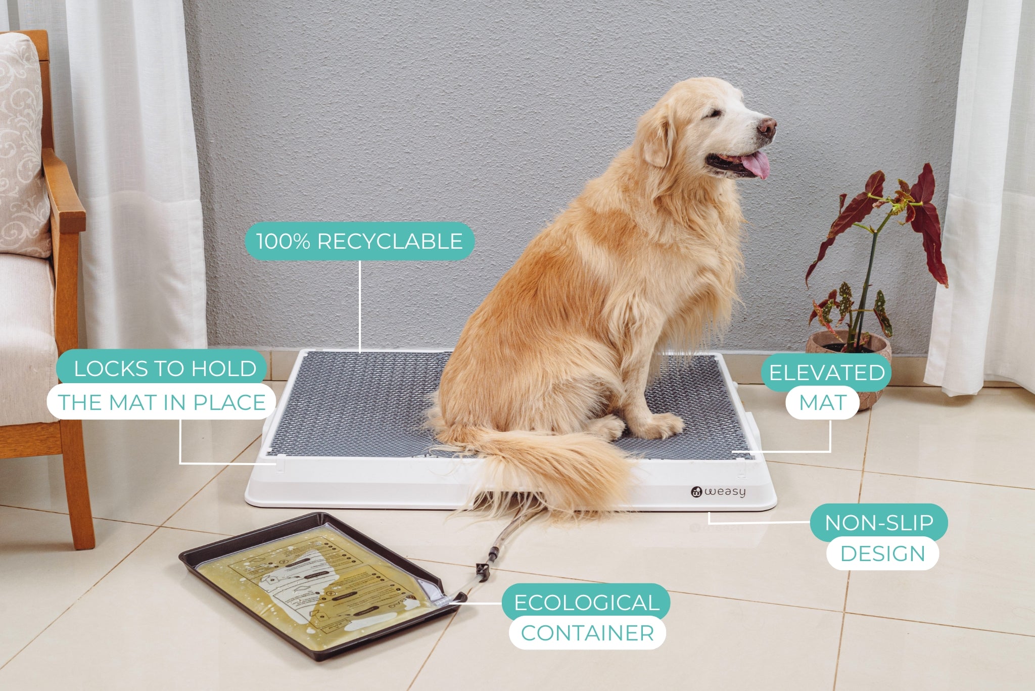 Image of a golden retriever dog sitting on the Weasy Smart Potty. The Weasy Bag is visible beneath the tray, where it collects urine. The image highlights key product features, including the elevated mat, non-slip design, eco-friendly container, secure mat locks, and 100% recyclable materials.