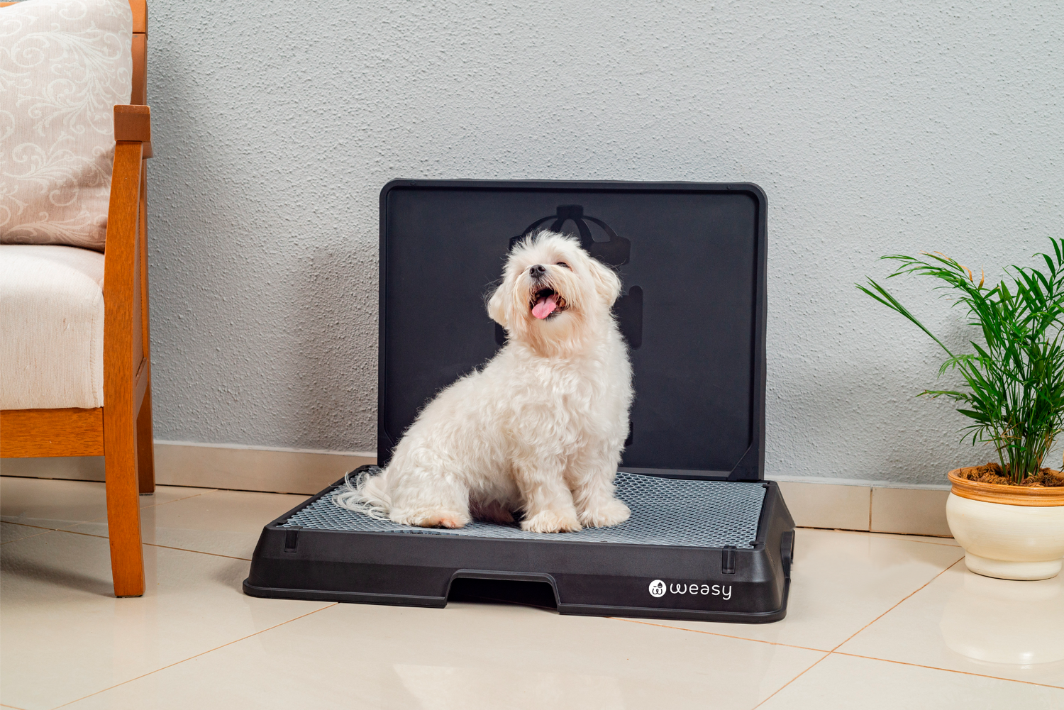 Image of a Dog sitting on the Weasy Smart Potty