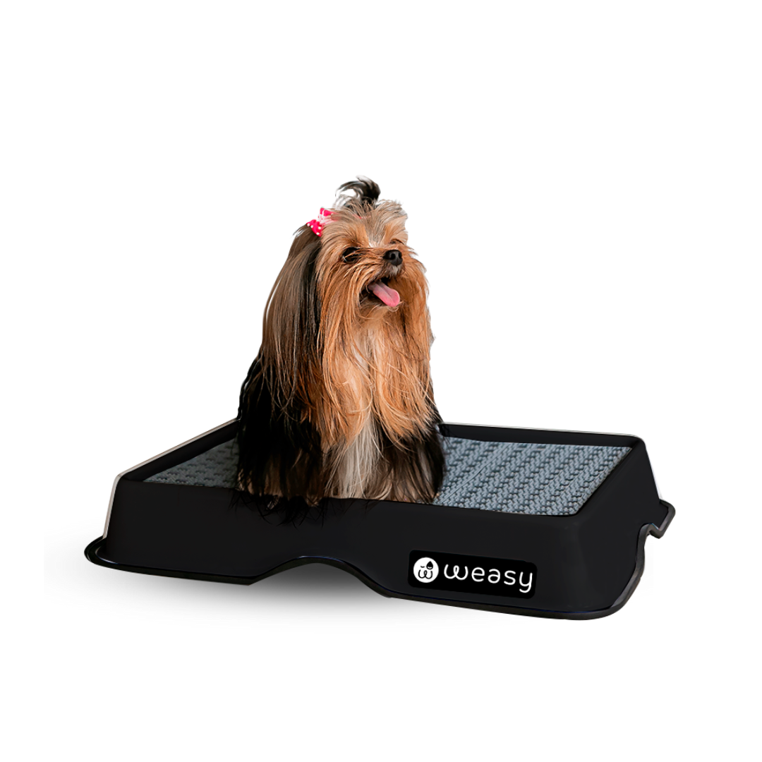 Weasy Smart Potty