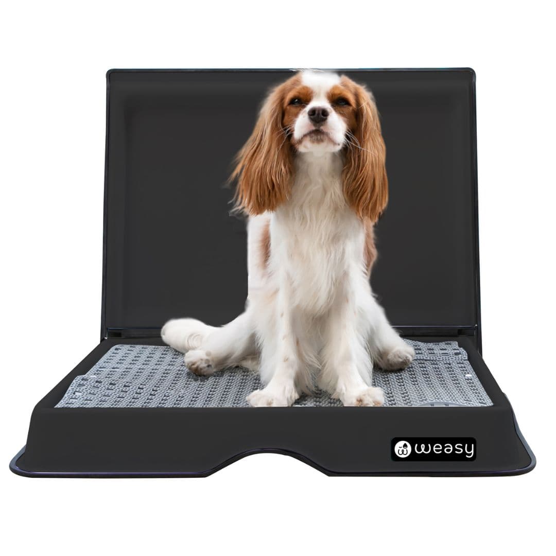 Weasy Smart Potty