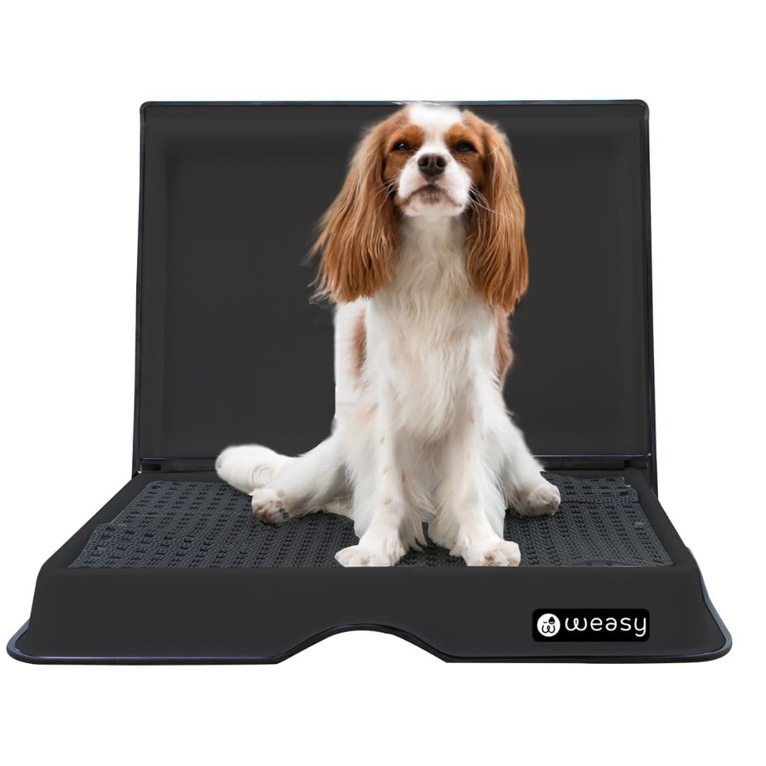 Weasy Smart Potty