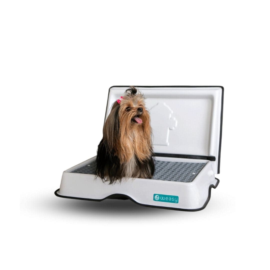Weasy Smart Potty - XS