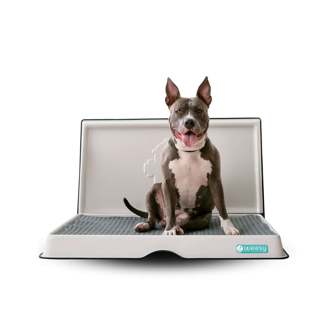 Weasy Smart Potty