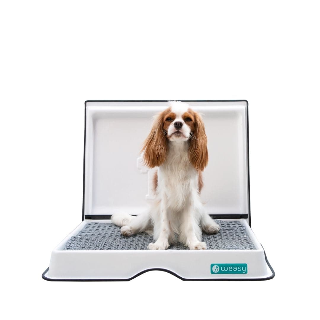 Weasy Smart Potty