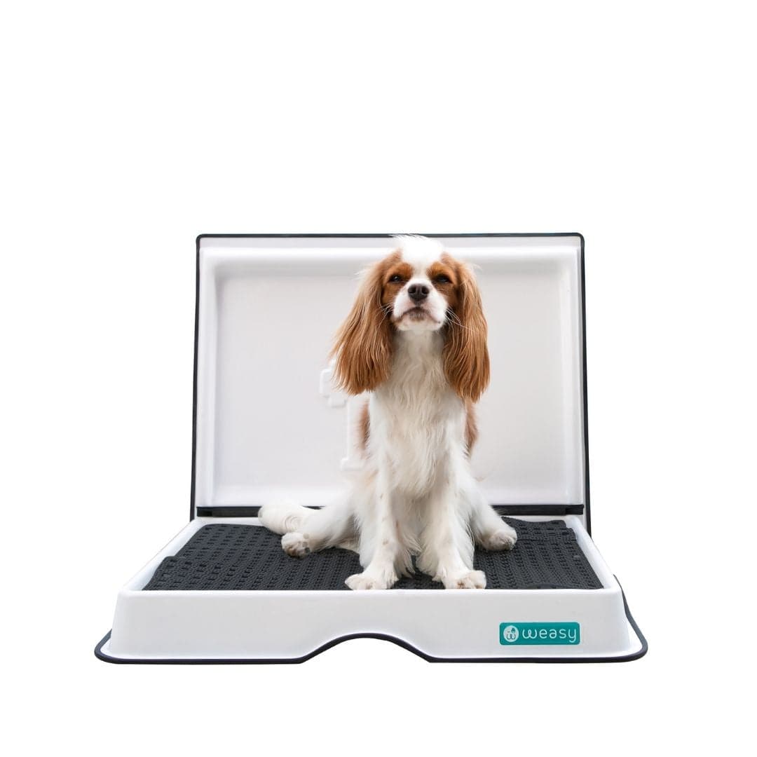 Weasy Smart Potty