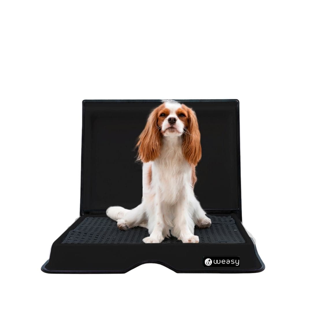 Weasy Smart Potty