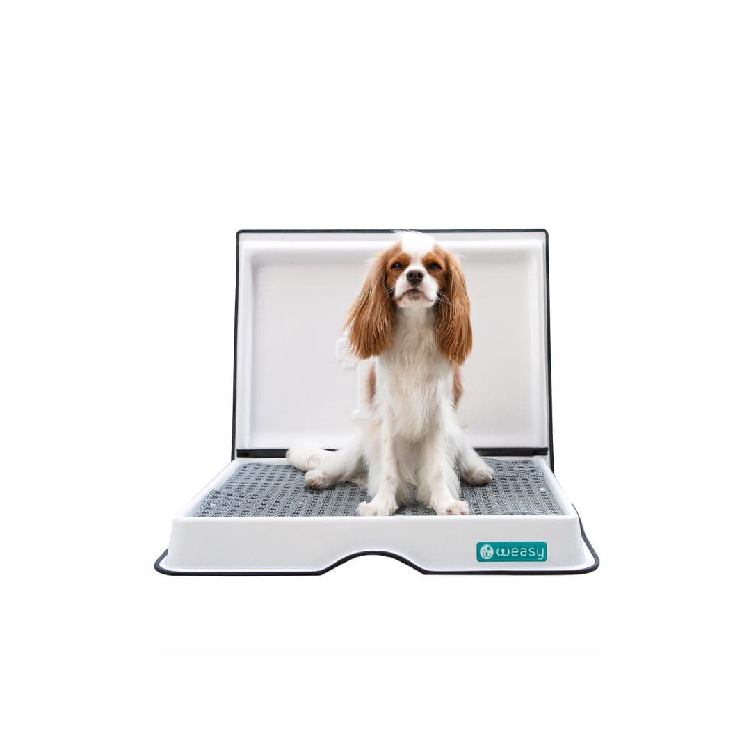 Weasy Smart Potty