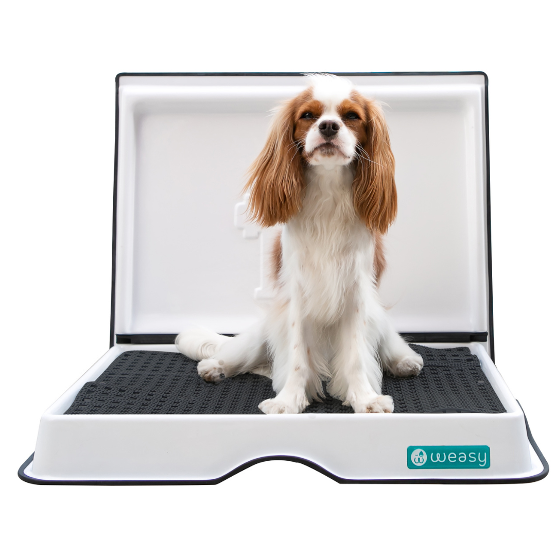 Weasy Smart Potty