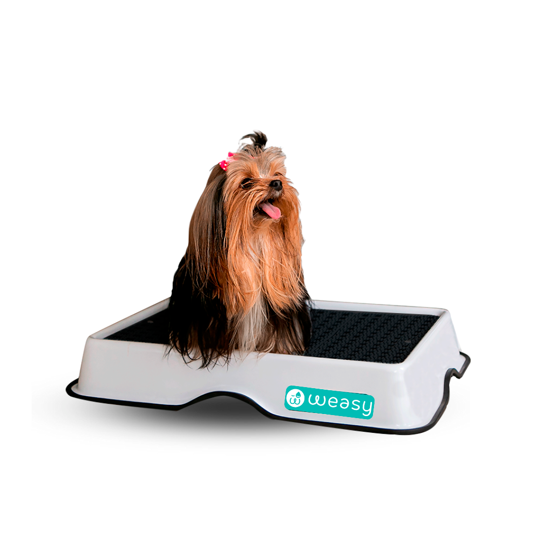 Weasy Smart Potty