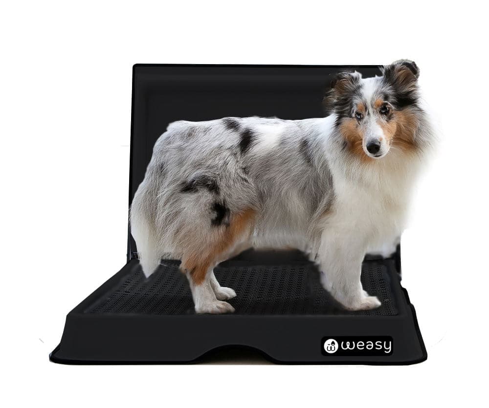 Weasy Smart Potty