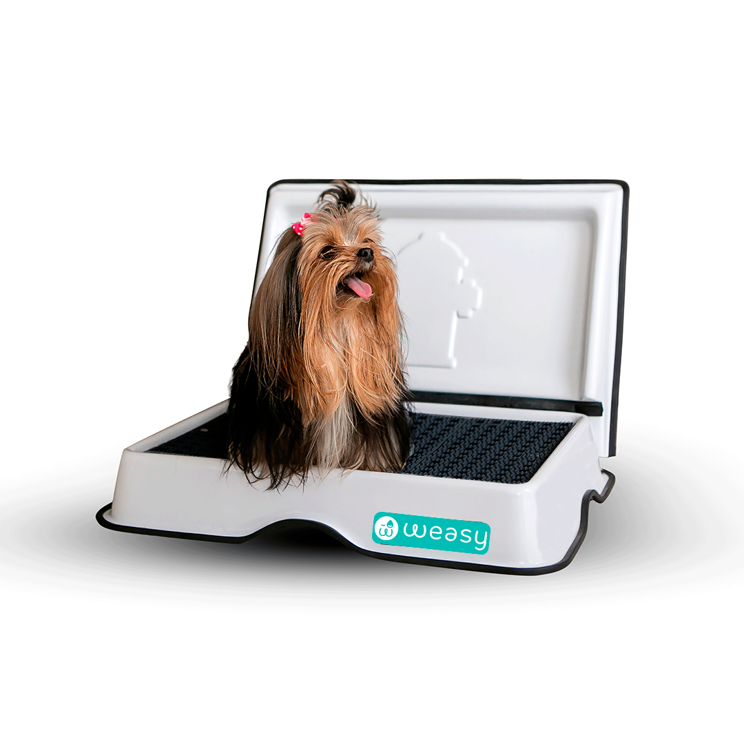 Weasy Smart Potty