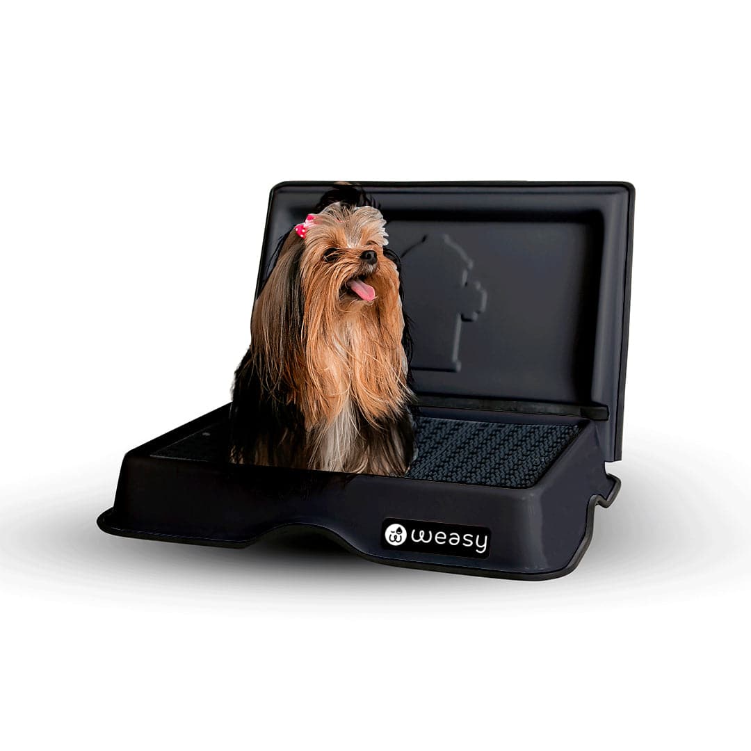 Weasy Smart Potty