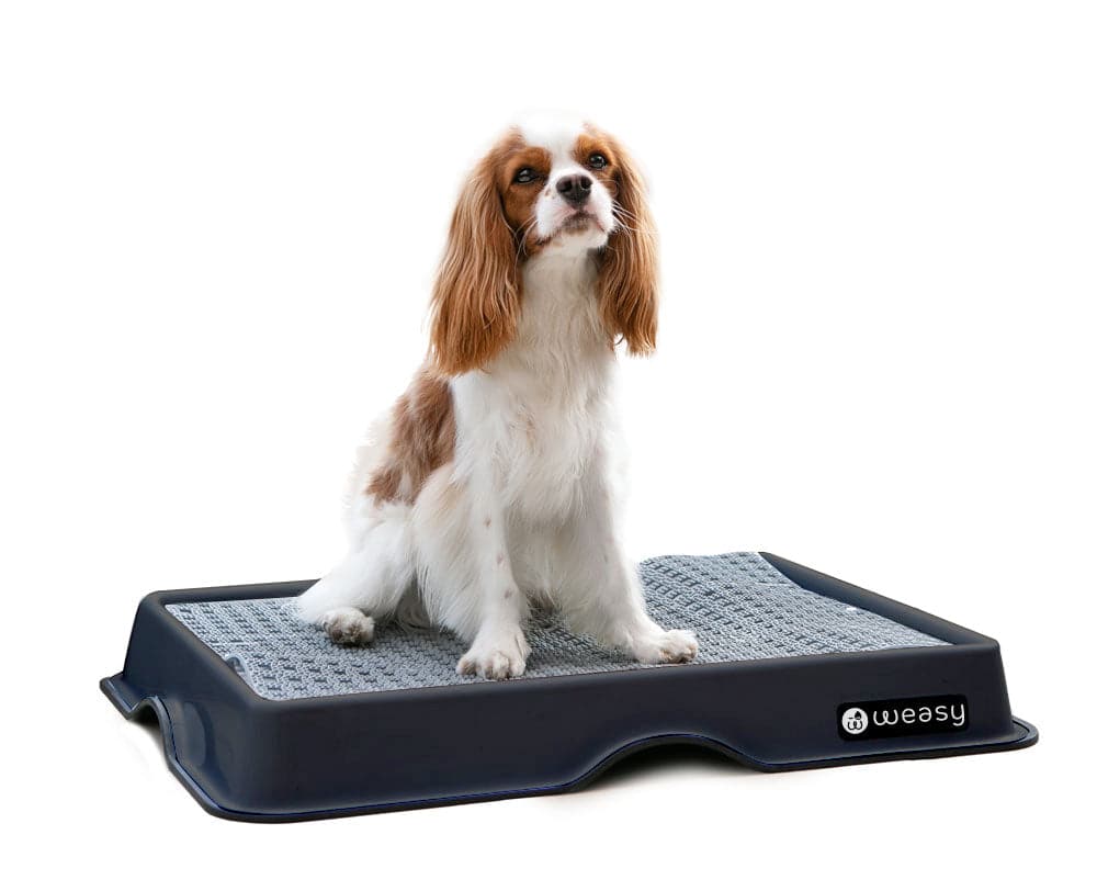 Weasy Smart Potty