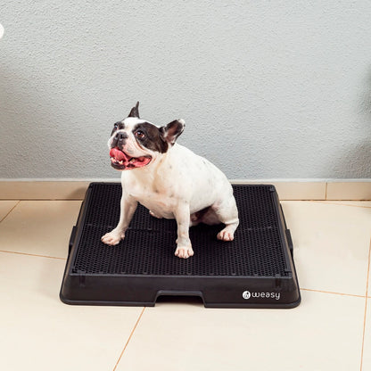 image of a dog sitting on the Weasy Smart Potty size medium