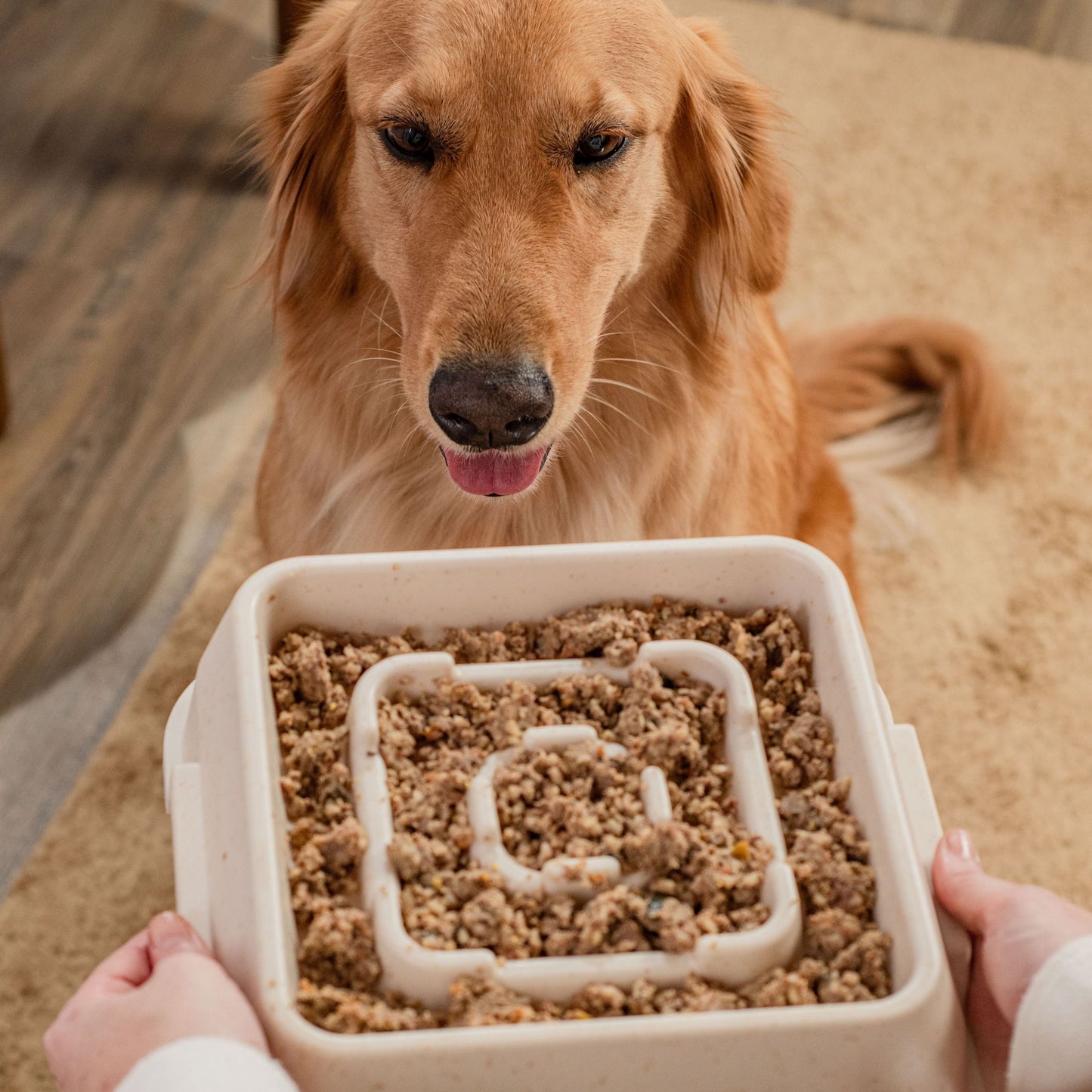 Weasy Bowl - Slow Feeder