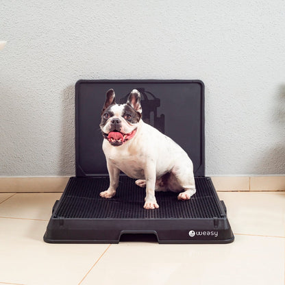 image of a dog sitting on the Weasy Smart Potty size medium