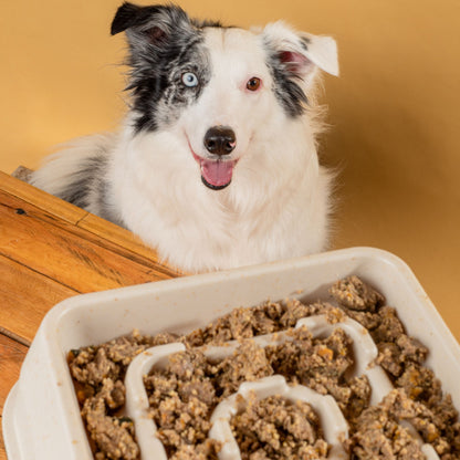 Weasy Bowl - Slow Feeder