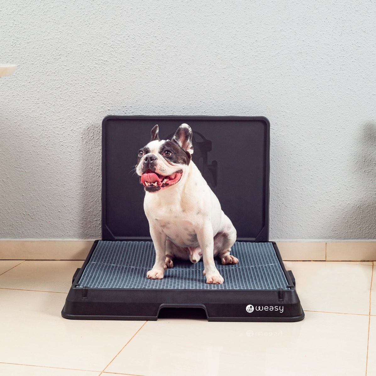 image of a dog sitting on the Weasy Smart Potty size medium
