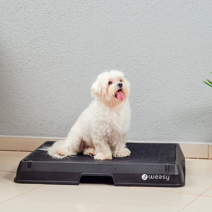 image of a dog sitting on a black Weasy Smart Potty size small with a  mat, placed on a tiled floor. 