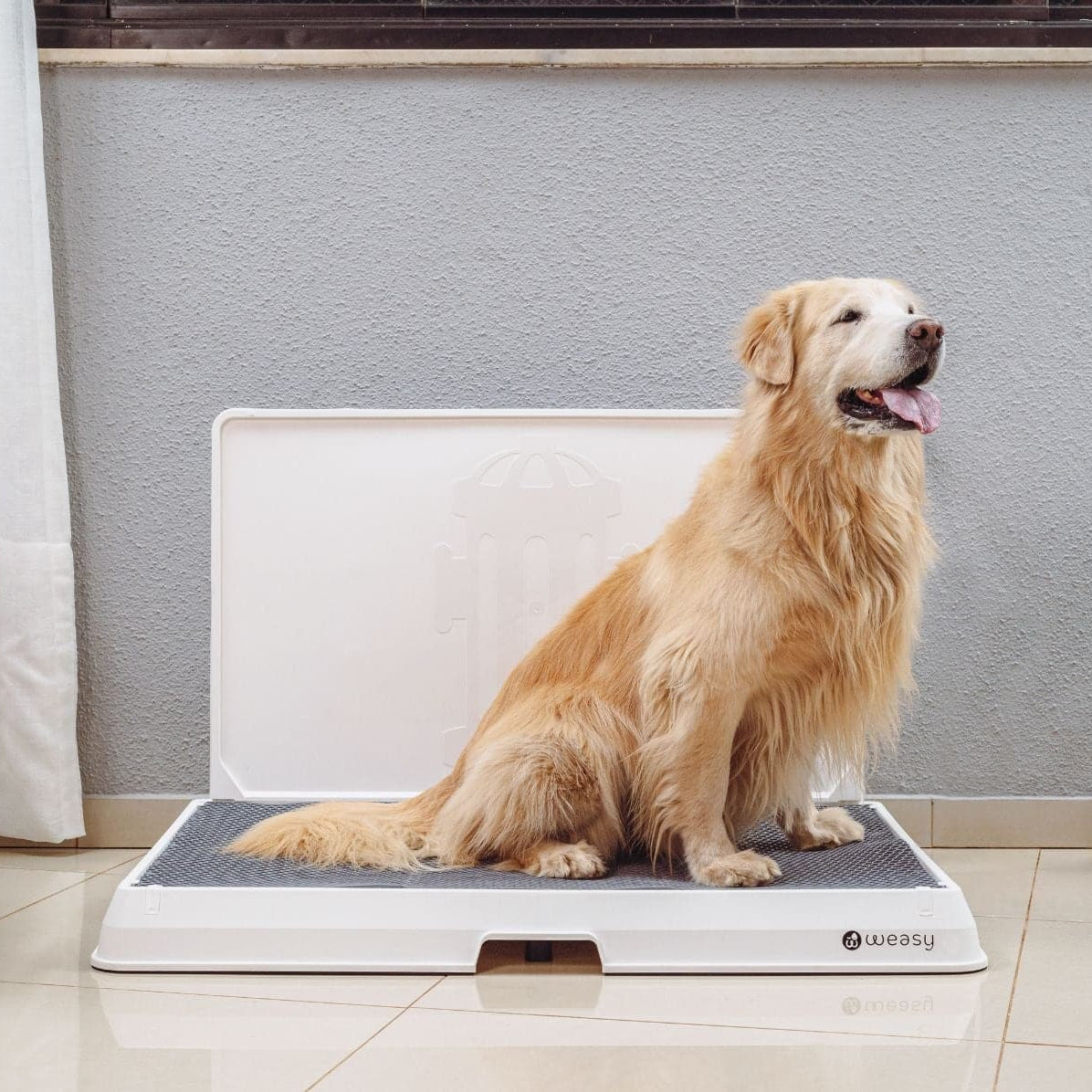 A image of a  golden retriever dog sitting on a white Weasy Smart Potty size Large with a  mat, placed on a tiled floor. 