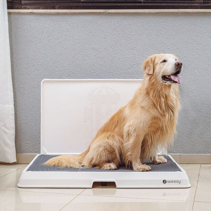 A image of a  golden retriever dog sitting on a white Weasy Smart Potty size Large with a  mat, placed on a tiled floor. 