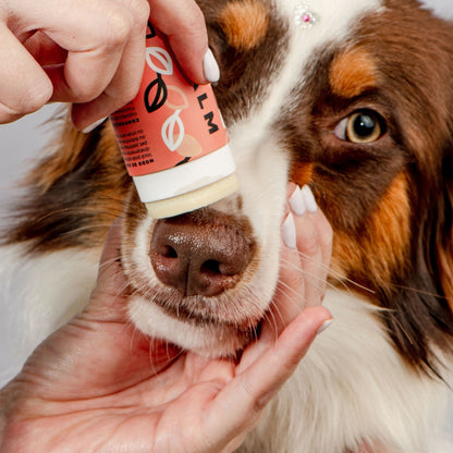 Weasy Balm | Pet Moisturizer 