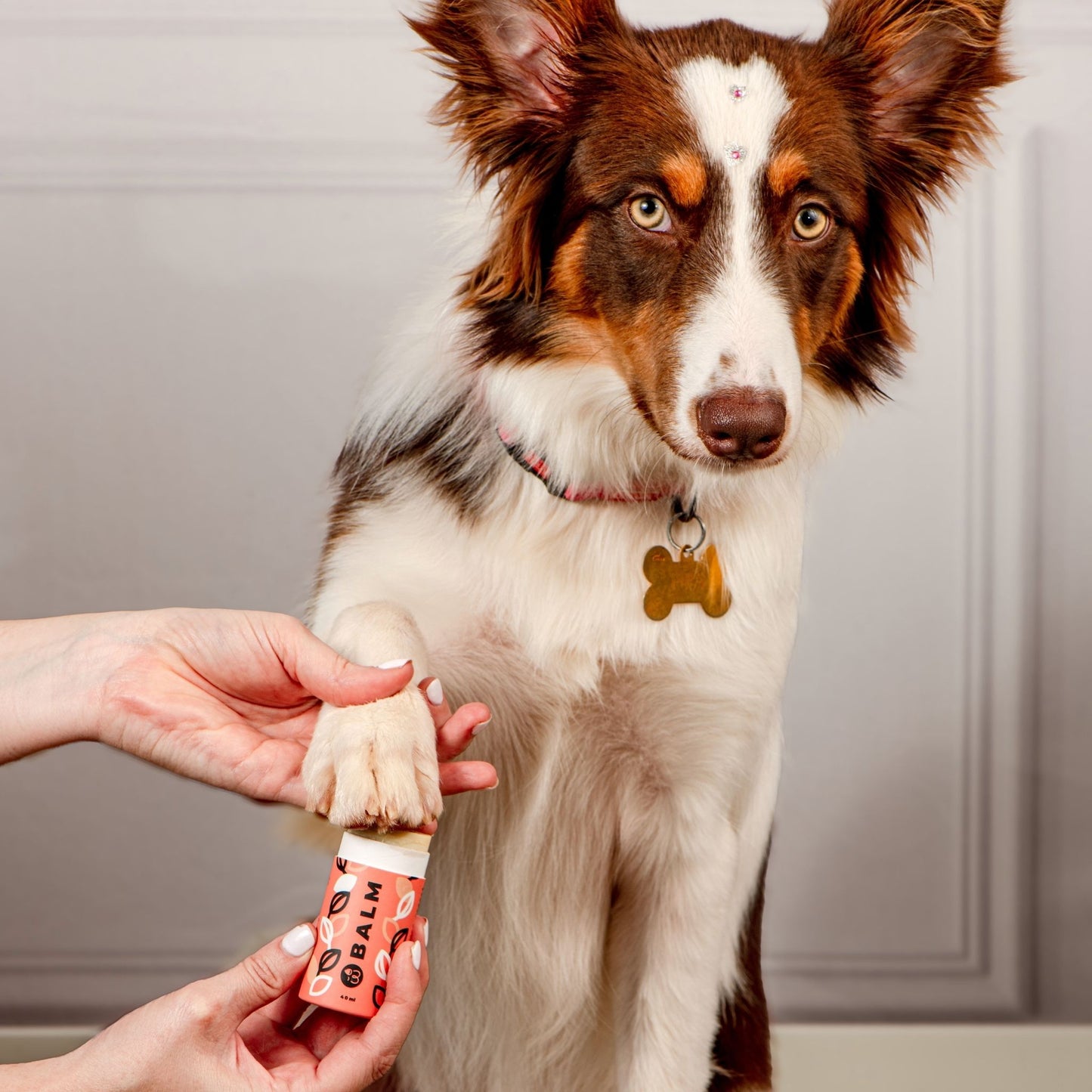 Weasy Balm | Pet Moisturizer 
