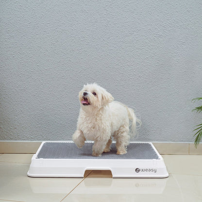 image of a dog sitting on a white Weasy Smart Potty size small with a  mat, placed on a tiled floor. 