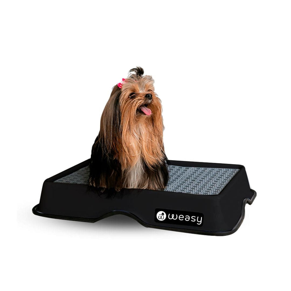 Weasy Smart Potty