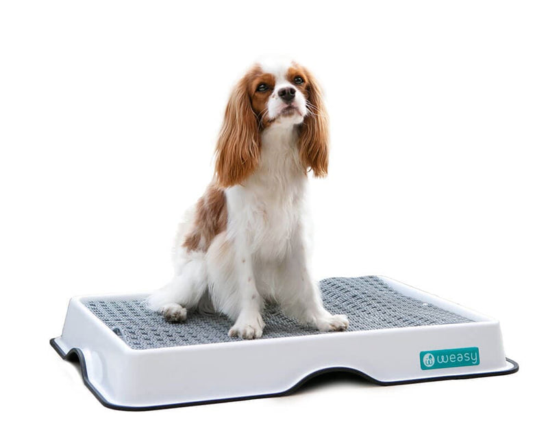 Weasy Smart Potty