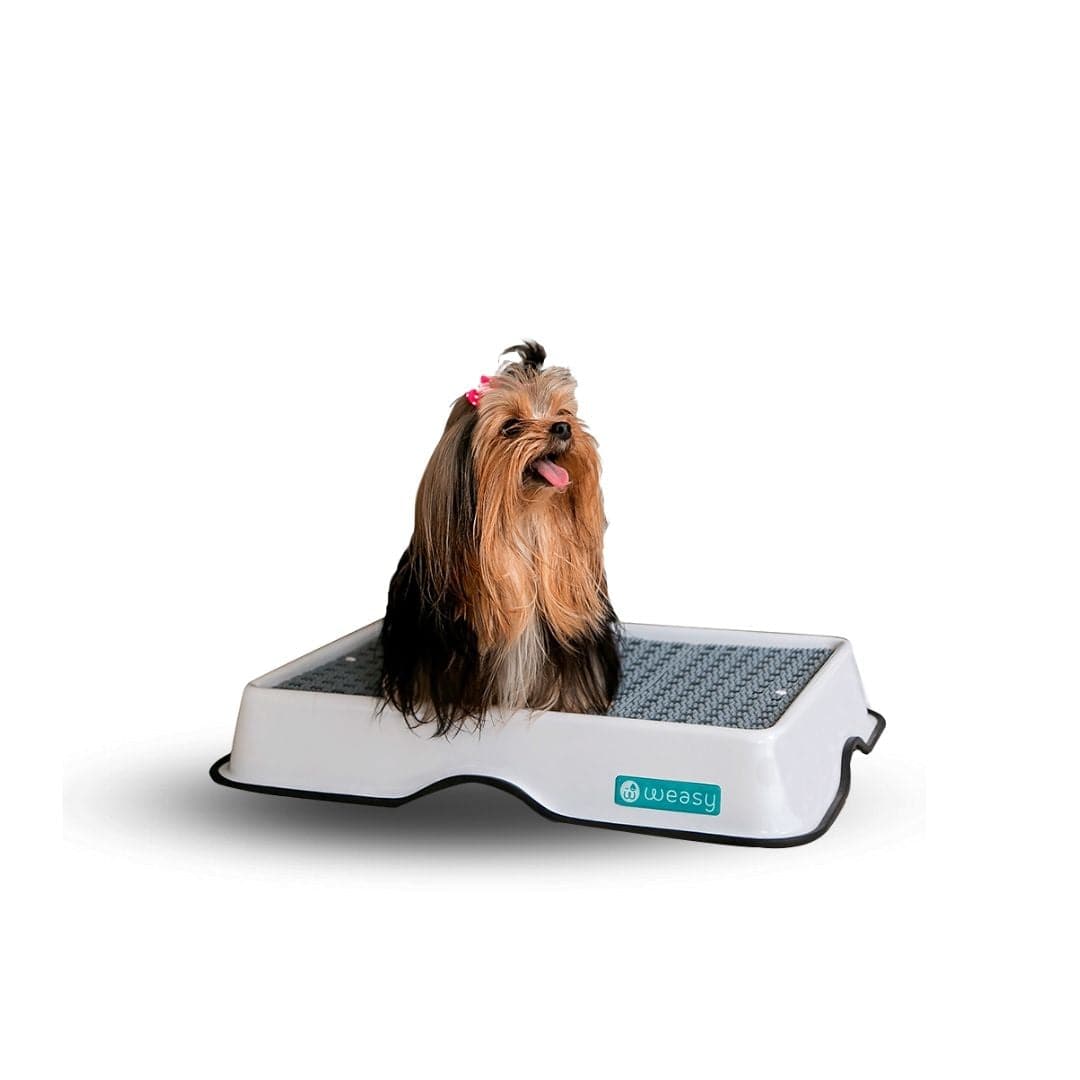 Doggy solutions best sale pet patio potty